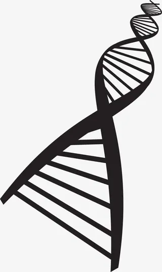 旋转波动曲线线条图免抠