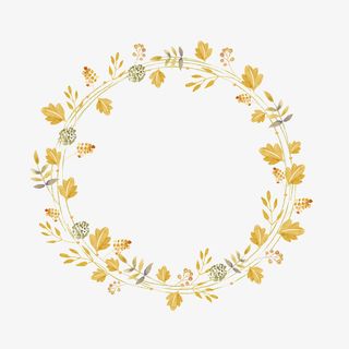 小清新黄色花朵花环免抠