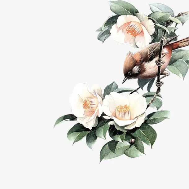 杜鹃花上的鸟免抠