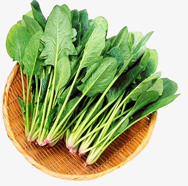 菠菜新鲜的哦免抠