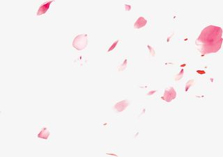 粉色情人节漂浮花瓣免抠漂浮花瓣元素