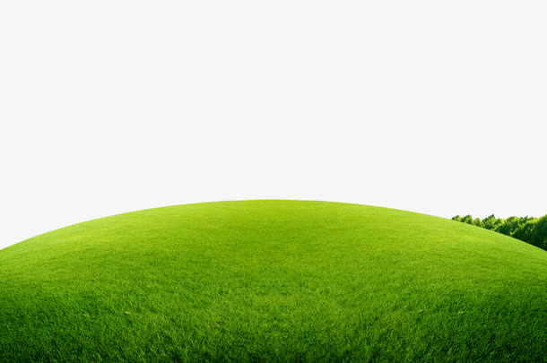 半圆草地免抠