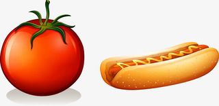 矢量手绘番茄和热狗免抠