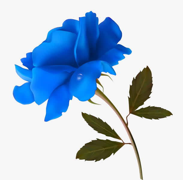 免抠装饰蓝色玫瑰花免抠