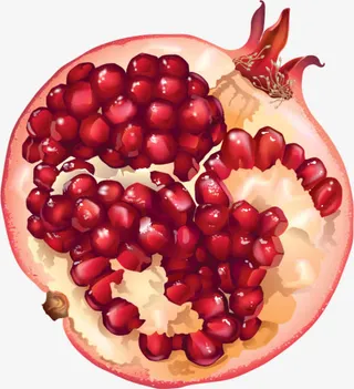 简约红色石榴免抠