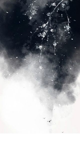 黑夜下的花枝海报背景