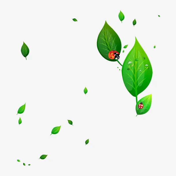 春天清新树叶免抠