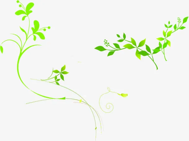 绿色清爽花藤美景春天免抠
