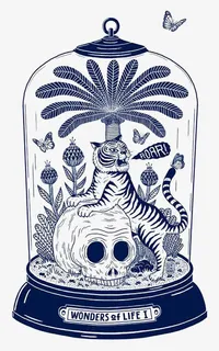 玻璃罩里的老虎免抠