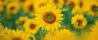 淘宝背景图高清