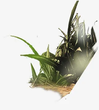 手绘倾斜草地设计免抠