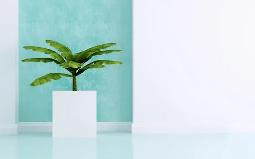 纯色背景绿色植物背景矢量图片免抠