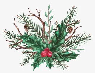 绿色松枝上的红果实免抠