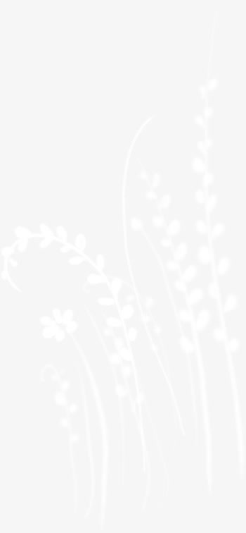 浪漫白色婚礼底纹装扮免抠
