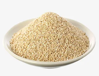 现炒白芝麻免抠