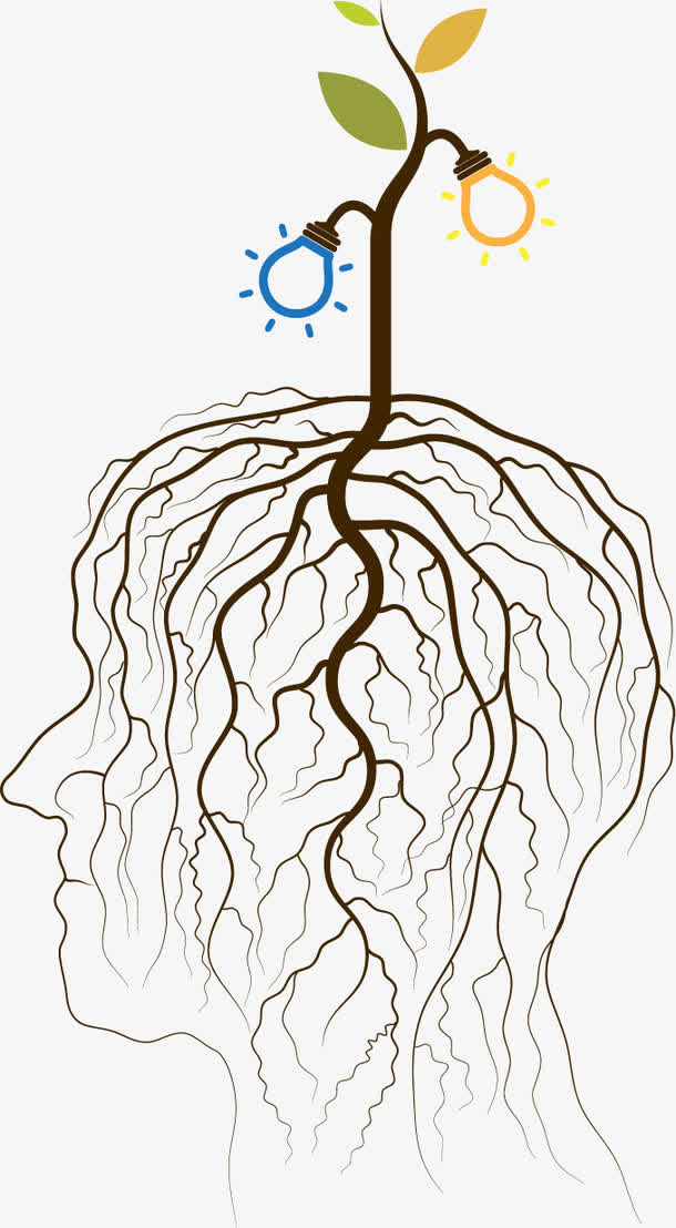 矢量手绘大脑与树枝免抠