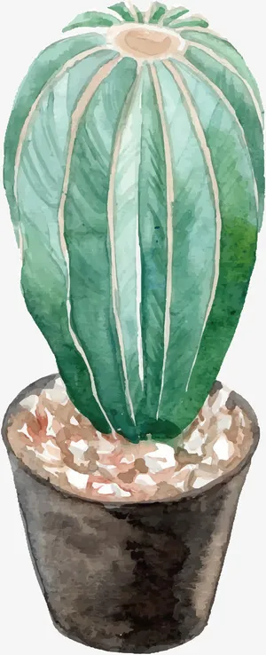手绘仙人掌PNG下载免抠