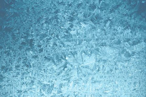 冻着的冰花免抠