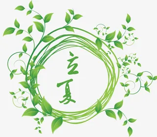 边框谷雨绿叶免抠