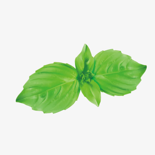 矢量绿色菜叶免抠