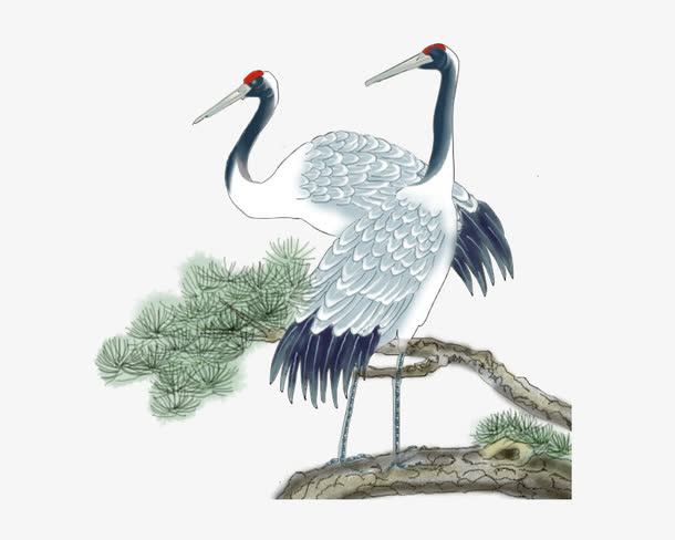 鹤落松树免抠