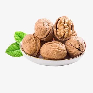 坚果核桃免抠