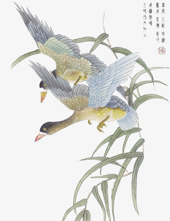 树枝免抠