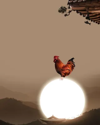 简约小清新晨起广告高清