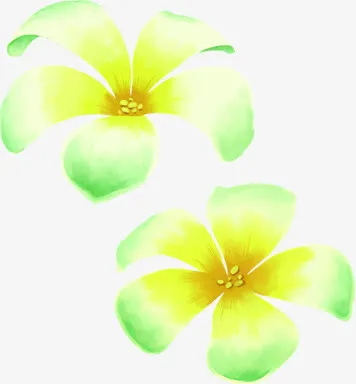 春天黄绿色手绘花朵纹理免抠