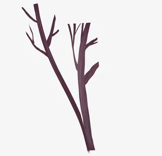 树枝雪地树枝枯枝圣诞节元素树枝免抠