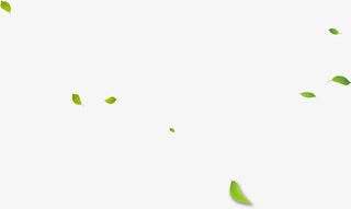 飘落的树叶免抠