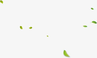 飘落的树叶免抠