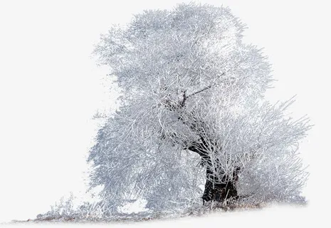 创意合成造型雪花树林免抠