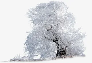 创意合成造型雪花树林免抠