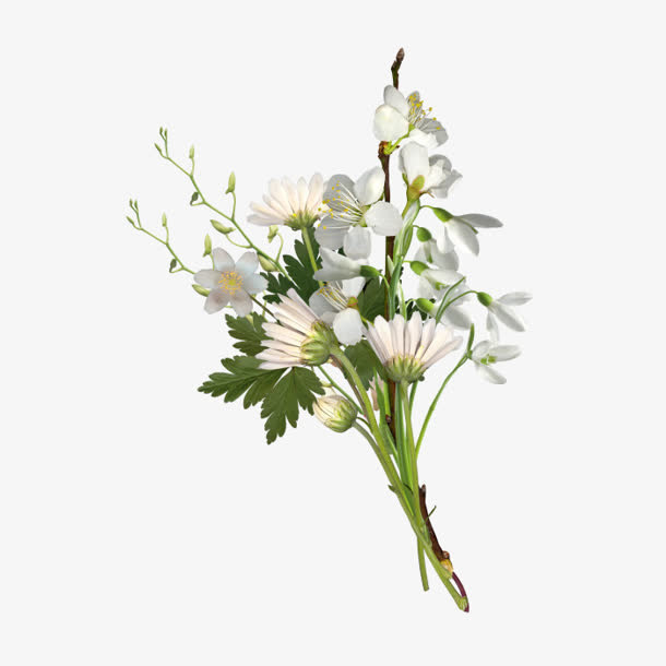 花枝花草鲜花花束免抠