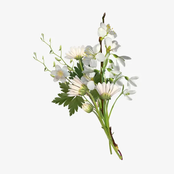 花枝花草鲜花花束免抠