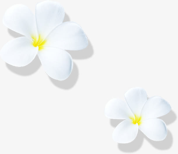 白色简约花朵装饰节日免抠