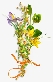 鲜花花卉装饰免抠 鲜花花卉装饰免抠