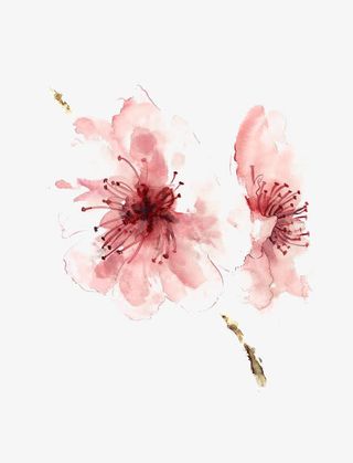 水墨花朵免抠