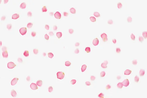 红色花瓣背景底纹PS素材免抠