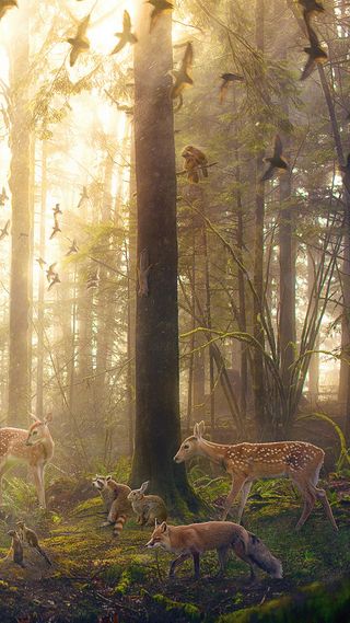 欢乐森林H5背景高清