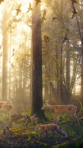 欢乐森林H5背景高清