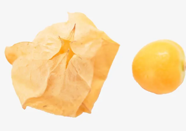 灯笼果黄色免抠