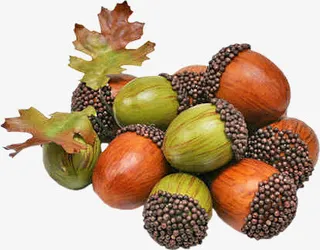 青色褐色野果免抠