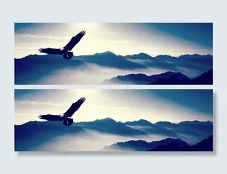 翱翔万里背景高清