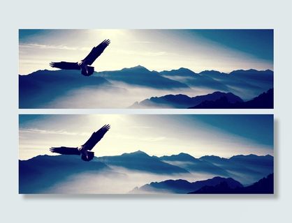 翱翔万里背景高清 翱翔万里背景高清