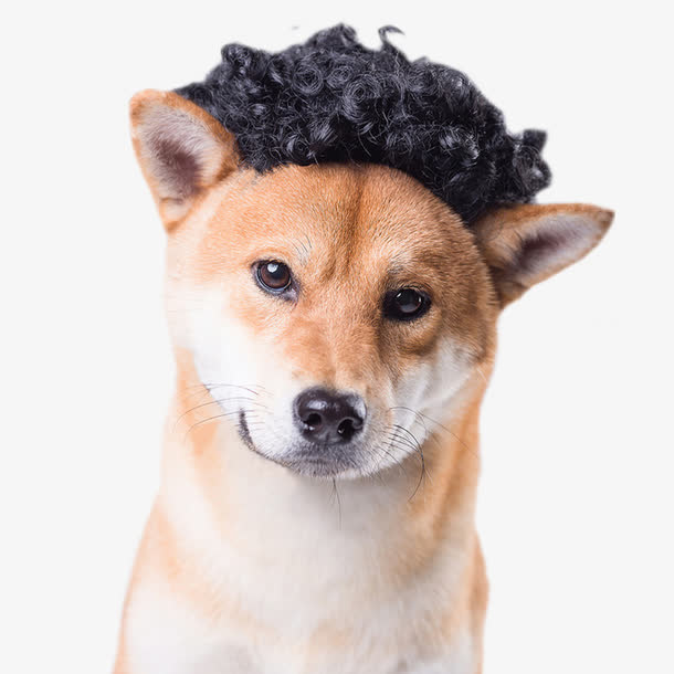 柴犬狗狗免抠