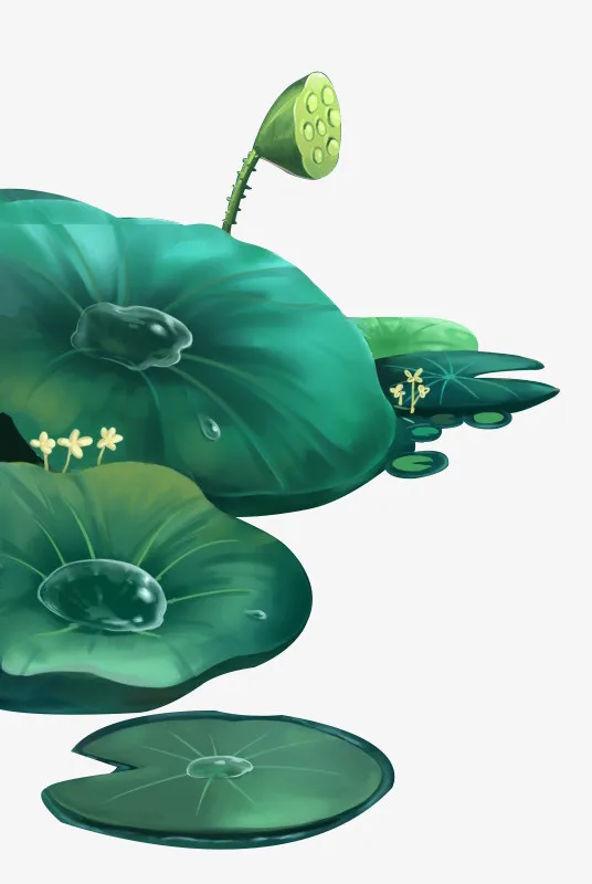 手绘夏日荷叶中国风插画免抠
