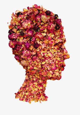 花瓣组成的头像免抠