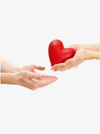双手托起红色爱心免抠